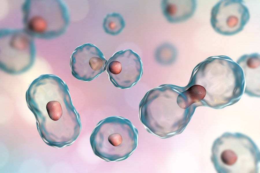 Switzerland leads the world in cell therapy